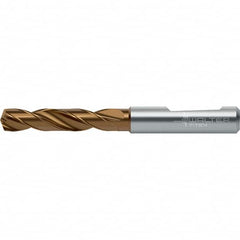 Walter-Titex - Screw Machine Length Drill Bits Drill Bit Size (Decimal Inch): 0.6575 Drill Bit Size (mm): 16.70 - Exact Tooling