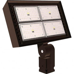 Hubbell Lighting - Floodlight Fixtures Mounting Type: Knuckle Mount Housing Color: Bronze - Exact Tooling