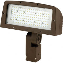 Hubbell Lighting - Floodlight Fixtures Mounting Type: Knuckle Mount Housing Color: Bronze - Exact Tooling