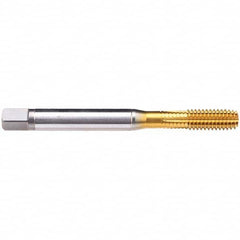 Emuge - 1-8 UNC 2B Modified Bottoming Thread Forming Tap - Exact Tooling