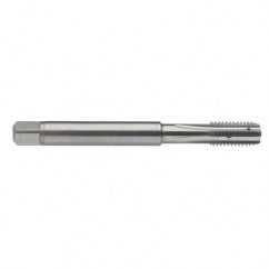 M6 x 1.0 Dia. - 6H - 4 FL - Carbide Semi-Bott Tap - Bright Finish-Coolant-Thru-FORM-C - Exact Tooling