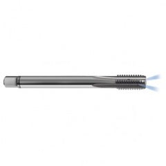 M12 x 1.75 Dia. - 6H - 4 FL - Carbide Semi-Bott Tap - Bright Finish-Coolant-Thru-FORM-C - Exact Tooling