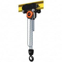 CM - 11,023 Lb Capacity, 30' Lift Height, Manual Chain Hoist - Exact Tooling