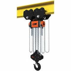 CM - 44,092 Lb Capacity, 30' Lift Height, Manual Chain Hoist - Exact Tooling