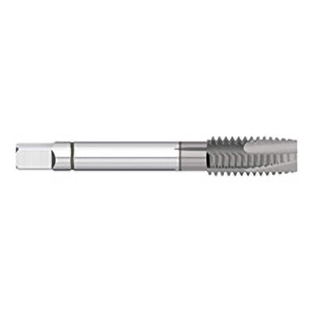 Titan USA - Spiral Point Taps; Thread Size (Inch): 1/4-20 ; Number of Flutes: 3 ; Chamfer: Plug ; Class of Fit: 2B/3B ; Thread Limit: H5 ; Finish/Coating: TiCN - Exact Tooling