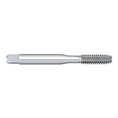 Titan USA - Thread Forming Taps; Thread Size (Inch): #12-28 ; Class of Fit: 2B/3B ; Thread Limit: H4 ; Chamfer: Bottoming ; Finish/Coating: Uncoated ; Material: High Speed Steel - Exact Tooling