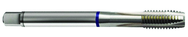 6-40 Dia. - 2B - 3 FL - Cobalt Spiral Point Plug Blue Ring Tap - Bright FORM-B DIN 374 - Exact Tooling