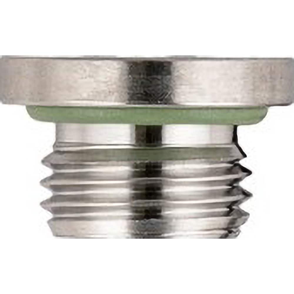 Aignep USA - Stainless Steel Pipe Fittings; Type: Male Plug BSPP Internal Hex 1/4 ; Fitting Size: 1/4 ; End Connections: BSPP ; Material Grade: 316L Stainless Steel ; Pressure Rating (psi): 290 - Exact Tooling
