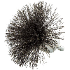 Norton - End Brushes Brush Diameter (Inch): 3 Fill Material: Carbon Steel - Exact Tooling