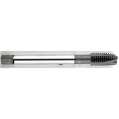‎M10 × 1.5 Dia. - D6 - 3 FL - Premium - HSS - Black Oxide - Plug - Spiral Point Tap Series/List #2088M - Exact Tooling