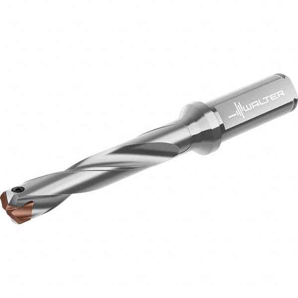 Walter - 18 to 18.99mm Diam, 5xD, 125mm Max Depth, 20mm Shank Diam, 178mm OAL, Replaceable Tip Drill - P6001-D18..R, P6003-D18..R, P6004-D18..R, P6005-D18..R Insert, D4140 Toolholder, Series D4140 - Exact Tooling