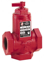 Bell & Gossett - 1" Pipe, Cast Iron Manually Operated Plumbing Valve - Buna Seal, FNPT - Exact Tooling