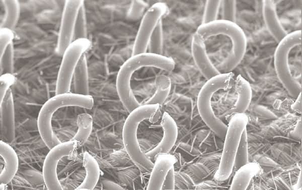 3M - Sanding Block Holder - 6.95" Wide x 13" Long - Exact Tooling