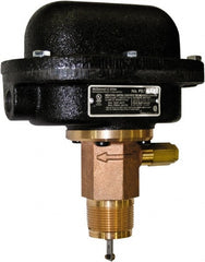 McDonnell & Miller - 300 psi, Brass Housing, Adjustable Paddle Flow Switch - 7.7 Flow Set Point, 35,004 Flow Point cc/min, 4.8 to 998 GPM, 120/240 Voltage, 1-1/4 Inch Thread Size - Exact Tooling