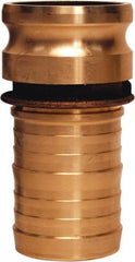 Dixon Valve & Coupling - 1-1/2" Brass Cam & Groove Suction & Discharge Hose Male Adapter Hose Shank - Part E, 250 Max psi - Exact Tooling