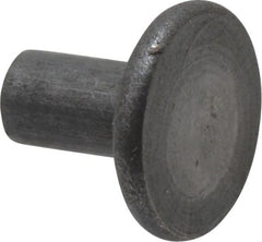 RivetKing - 0.091" Body Diam, Flat Steel Tinners Solid Rivet - 0.166" Length Under Head - Exact Tooling