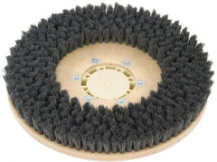 Clarke - 26" Diam Scrubbing Brush - 26" Machine, Black Pad, Polypropylene - Exact Tooling
