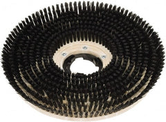 Clarke - 20" Diam Scrubbing Brush - 20" Machine, Black Pad, Polypropylene - Exact Tooling