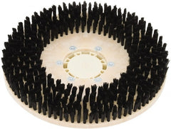 Clarke - 34" Diam Scrubbing Brush - 17" Machine, Black Pad, Nylon - Exact Tooling