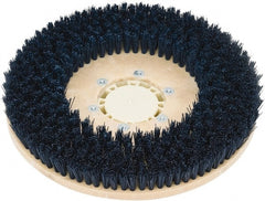 Clarke - 34" Diam Scrubbing Brush - 17" Machine, Black Pad, Polypropylene - Exact Tooling