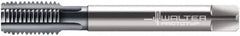 Walter-Prototyp - 1/2-14" BSPP, 5 Flutes, Modified Bottoming Chamfer, TiCN Coated, Powdered Metal British Standard Pipe Tap - 0.6299" Shank Diam, 0.4724" Square Size, Series E2436406 - Exact Tooling