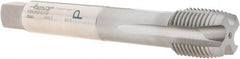 Walter-Prototyp - 1/2-14" BSPP, 4 Flutes, Plug Chamfer, Bright Finish, Cobalt British Standard Pipe Tap - 0.6299" Shank Diam, 0.4724" Square Size, Series P24360 - Exact Tooling