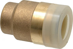 Watts - 1/2" Outside Diam, Brass Push-to-Connect Tube End Stop - Tube to Tube Connection, EPDM O-Ring - Exact Tooling