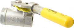 Apollo - 1" Pipe, Stainless Steel Standard Ball Valve - 2 Piece, Inline - One Way Flow, FNPT x FNPT Ends, Deadman Lever (Spring Return to Close) Handle, 2,000 WOG, 150 WSP - Exact Tooling