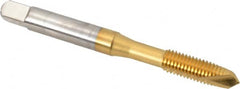 OSG - 1/4-28 UNF, 2 Flute, TiN Finish, High Speed Steel Spiral Point Tap - Plug Chamfer, Right Hand Thread, 2-1/2" OAL, 1" Thread Length, 0.255" Shank Diam, 3B Class of Fit, Series 105 - Exact Tooling