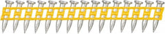 DeWALT - 9 Gauge 0.145" Shank Diam 3/4" Long Concrete Nails for Power Nailers - Steel, Zinc Finish, Smooth Shank, Angled Stick Plastic Collation, Round Head - Exact Tooling