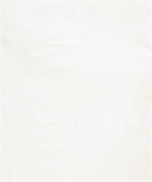 Value Collection - 15 x 18", 2 mil Flat Polybags - White - Exact Tooling