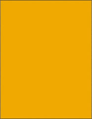 Tape Logic - 11" Long, Fluorescent Orange Paper Laser Label - For Laser Printers - Exact Tooling