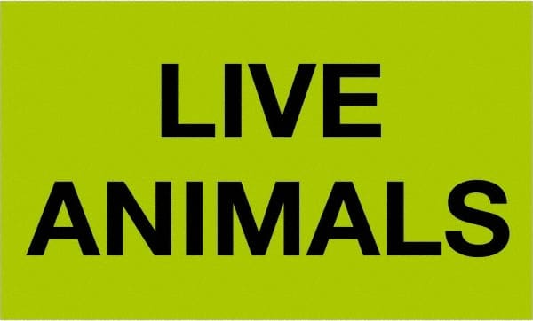 Tape Logic - 5" Long, Fluorescent Green Paper Shipping Label - For Multi-Use - Exact Tooling