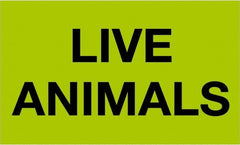 Tape Logic - 5" Long, Fluorescent Green Paper Shipping Label - For Multi-Use - Exact Tooling