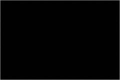 Tape Logic - 3" Long, Black Paper Inventory Labels - For Multi-Use - Exact Tooling