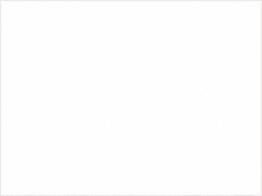 Tape Logic - 4" Long, White Paper Inventory Labels - For Multi-Use - Exact Tooling