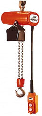 CM - 1/4 Ton Capacity, 12 FPM Lift Speed, Hook Mounted Hoist - 0.167 Output hp, 10' Max Lift, 11-1/16" Min Headroom, 1 Chain - Exact Tooling