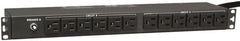 Tripp-Lite - 24 Outlets, 120 VAC30 Amps, 15' Cord, Power Outlet Strip - Rack Mount, 5-15/20R NEMA Configuration, 19" Strip - Exact Tooling