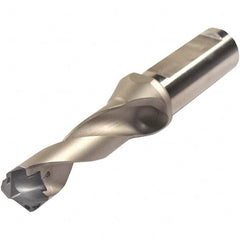 Iscar - 3/4 to 0.783" Diam, 3xD, 2.24" Max Depth, 1" Shank Diam, Replaceable Tip Drill - 19 Seat Size, DSM Toolholder, Series ChamDrillJet - Exact Tooling