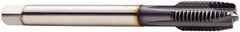 Seco - M16x2.00 Metric, 4 Flute, TiCN Finish, Cobalt Spiral Point Tap - Plug Chamfer, Right Hand Thread, 110mm OAL, 25mm Thread Length, 12mm Shank Diam, 6H Class of Fit - Exact Tooling