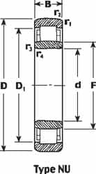 SKF - 75mm Bore Diam, 160mm Outside Diam, 37mm Wide Cylindrical Roller Bearing - 242,000 N Dynamic Capacity, 265,000 Lbs. Static Capacity - Exact Tooling