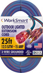 Value Collection - 25', 12/3 Gauge/Conductors, Blue/Red Outdoor Extension Cord - 1 Receptacle, 15 Amps, UL SJTW, NEMA 5-15P - Exact Tooling