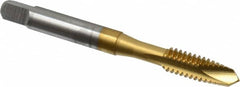 OSG - 1/4-20 UNC, 2 Flute, TiN Finish, High Speed Steel Spiral Point Tap - Plug Chamfer, Right Hand Thread, 2-1/2" OAL, 1" Thread Length, 0.255" Shank Diam, 2B Class of Fit, Series 105 - Exact Tooling