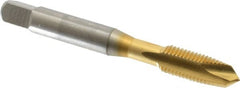 OSG - 5/16-24 UNF, 2 Flute, TiN Finish, High Speed Steel Spiral Point Tap - Plug Chamfer, Right Hand Thread, 2-23/32" OAL, 1-1/8" Thread Length, 0.318" Shank Diam, 3B Class of Fit, Series 105 - Exact Tooling