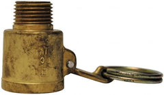 EVER-TITE Coupling Products - 1-1/4" Brass Cam & Groove Suction & Discharge Hose Female Coupler Male NPT Thread - Part B, 1-1/4" Thread, 350 Max psi - Exact Tooling