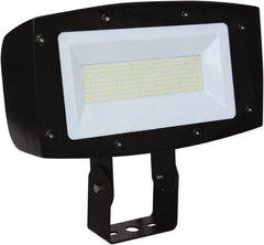 Philips - 1 Head 150 Watt 120-277 V LED Floodlight Fixture - Exact Tooling