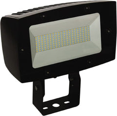 Philips - Floodlight Fixtures Mounting Type: Trunion Mount Housing Color: Bronze - Exact Tooling