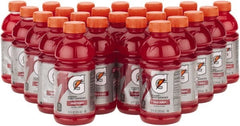 Gatorade - 12 oz Bottle Fruit Punch Activity Drink - Ready-to-Drink - Exact Tooling