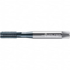 Walter-Prototyp - M5x0.80 DIN 371 6HX 4 Flute TiCN Finish High Speed Steel Straight Flute Machine Tap - Bottoming, Right Hand Thread, 72.1mm OAL, 13mm Thread Length - Exact Tooling