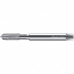 Walter-Prototyp - #3-48, 2 Flute, Uncoated, High Speed Steel Spiral Point Tap - Right Hand Thread, 45.86mm OAL, 9mm Thread Length, 2.8mm Shank Diam, Series 22207 - Exact Tooling